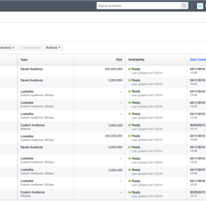 Meta verified Agency ads manager with 100$